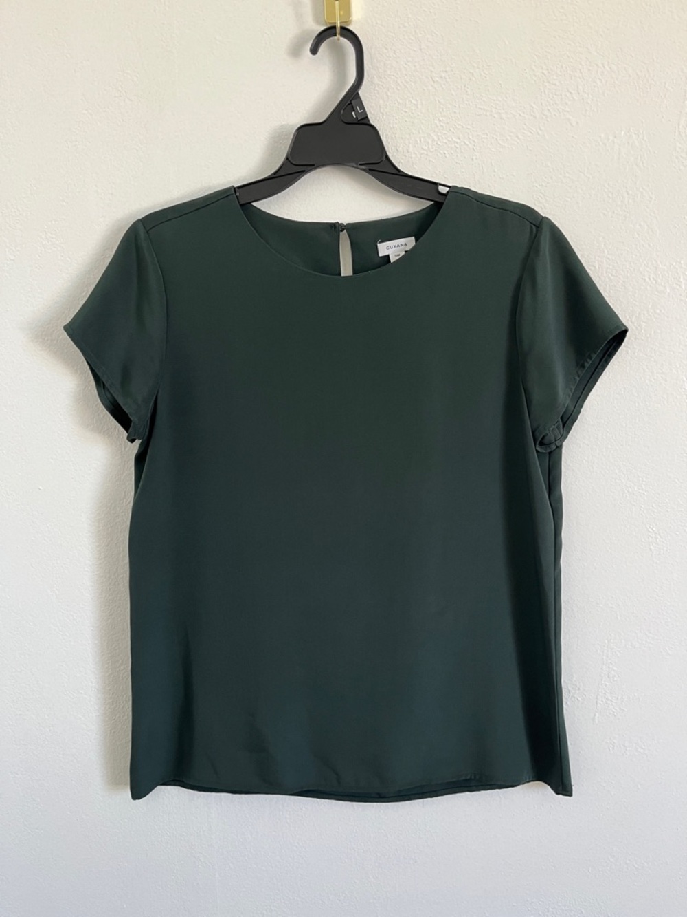 Cuyana Green Silk Cap Sleeve Blouse